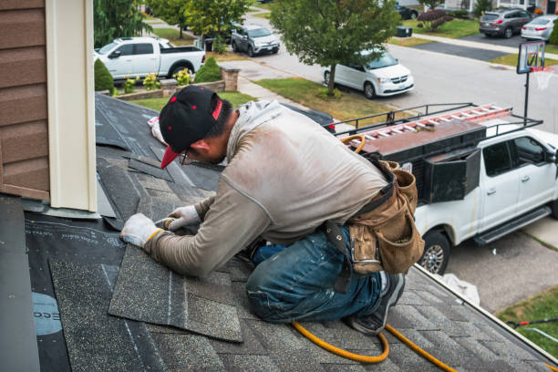 Professional Flat Roof Repair technician working in Bertha, MN